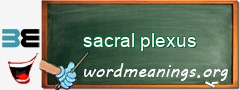 WordMeaning blackboard for sacral plexus